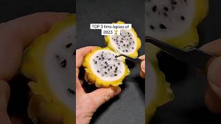 Best time lapse of plant germination germination viralvideo viralreels agricultureandpets [upl. by Wales178]