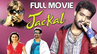 New release of Jr NTR 2017 movie  Telugu Movie Kantri  Jackal dubbed in english [upl. by Oika227]