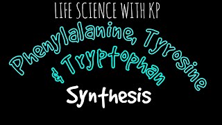 PHENYLALANINE TYROSINE amp TRYPTOPHAN SynthesisVlog 10 [upl. by Filiano895]