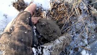 Metal Detecting in the snow   Nugget Noggin [upl. by Killie]