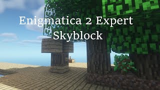 Haydi rastgele B1  Enigmatica 2 Expert Skyblock [upl. by Ydnamron]