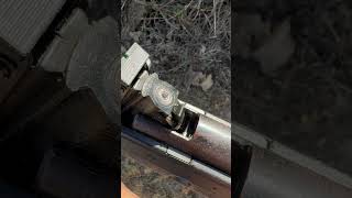 Amazing shoot by airgun birds trap 🔥 airgun airgunhunting birdshunting [upl. by Odilo]