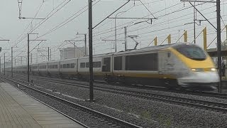 Eurostar langs station Ruisbroek [upl. by Delaine858]