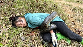 Set a mouse trap  Girl meets giant python in the forest  Paint the bamboo house  Lý Thị Sếnh [upl. by Labana]