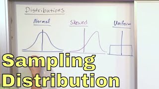 Machine Learning Fundamentals Bias and Variance [upl. by Arved976]