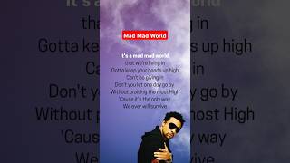 Shaggy – Mad Mad World Lyrics 🌍  Powerful Words for Crazy Times Shaggy MadMadWorld lyrics [upl. by Aciret]