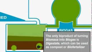 Biomass Gasification [upl. by Mandel]