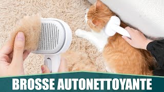 LA MEILLEURE BROSSE POUR POILS DE CHAT amp CHIEN  Aumuca [upl. by Nylia338]