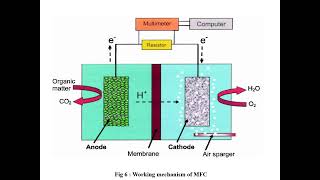 A seminar on Dual Chambered Microbial Fuel Cell to treat wastewater and Electricity generation [upl. by Yellac]