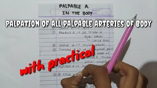 Palpation of all palpable Arteries of Body [upl. by Eduardo]