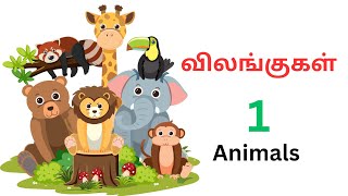 Animals in Tamil [upl. by Adolph979]