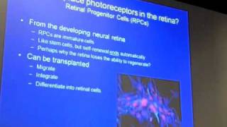 Dr Klassen  Stem Cells for Retinitis Pigmentosa [upl. by Savil341]