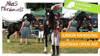 EQUITANA Junior Handling mit Action ✮ Teil 33 [upl. by Shien360]