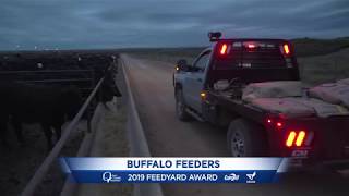 2019 BQA Feedyard Award  Buffalo Feeders Oklahoma [upl. by Oeram913]