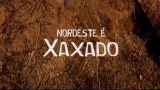 Nordeste é Xaxado [upl. by Azrim]