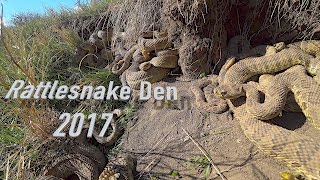 Rattlesnake Den in 4K [upl. by Ankney]