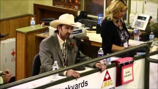 The Best Auctioneer  Rhett Parks [upl. by Aehsrop]