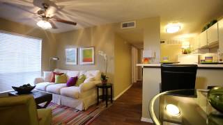 Willowick Apartment Tour  College Station TX [upl. by Petras731]