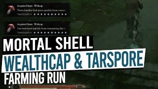 Fast amp Easy Weltcap amp Tarspore Farm  MORTAL SHELL [upl. by Akiehsat53]