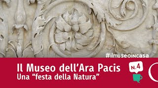 Il Museo dellAra Pacis Ara Pacis Augustae Ep4 ilmuseoincasa [upl. by Adnerol]