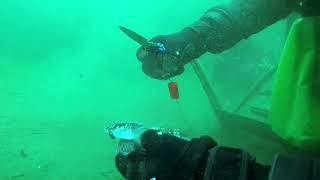 Donner Lake Scuba Diving Hunting for Treasure and Fun [upl. by Sibyls335]