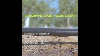 Conserving Water  More Crops [upl. by Buatti848]