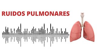 AUSCULTACIÓN PULMONAR ruidos normales y anormales [upl. by Krell888]