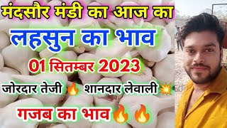 01 September 2023 मंदसौर मंडी का आज का लहसुन का भाव  Today Fresh Garlic Rate  Aaj Ka Lahsun Bhav [upl. by Nuhsed]