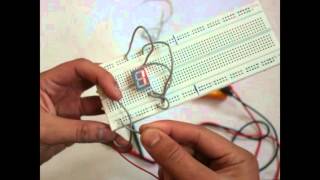 How to Display Numbers on Bcd 7 Segment Without Using A Decoder [upl. by Mace]