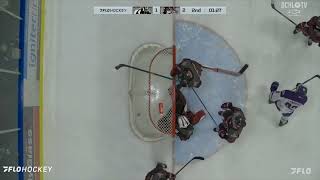 Salmon Arm Silverbacks 5 Alberni Valley Bulldogs 3 [upl. by Dumas]