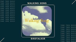 Birdtalker  quotWalking Songquot  Tone Tree Music indieartist indiealternative musicvideo [upl. by Giovanni]