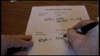 Financial Ratios  Profitability [upl. by Ilke643]