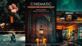 Cinematic Light photography preset editing  lightroom presets free download  DNG  XMP [upl. by Eniawd]