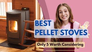 Best Pellet Stoves 2024  Only 5 Worth Considering [upl. by Ecirad]