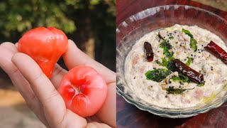 ചാമ്പക്ക പച്ചടി  Jambakka pachadi  Rose apple pachadi chambakka recipe [upl. by Vonni506]