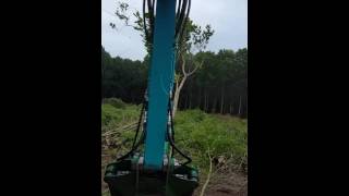 Kobelco SK140 avec cisaille SEVE350 [upl. by Rednasela]