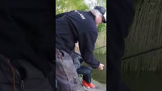 Waggler fishing for beginners bream waggler floatfishing [upl. by Auqenat791]