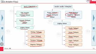 Türkçe  Dillerin Sınıflandırılması 📝 [upl. by Zetrok]