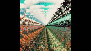 Tame Impala  Expectation SLOWED [upl. by Tterrag]