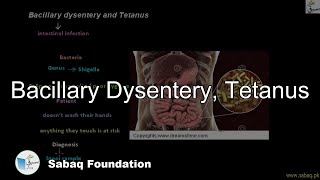 Bacillary Dysentery Tetanus Biology Lecture  Sabaqpk [upl. by Yanal]