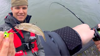 Von der MADE zum ZANDER  Angeln mit Köderfisch am Mittellandkanal im Winter [upl. by Anerom]