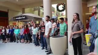 Christmas Flash Mob 2014 Thomas Aquinas College [upl. by Darbie]