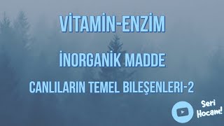 VitaminEnzimİnorganik Bileşikler Canlıların Temel Bileşenleri 2  TYT Biyoloji [upl. by Wolfy]