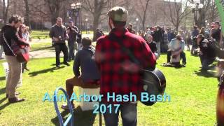 2017 Hash Bash in Ann Arbor Michigan [upl. by Lynnea]