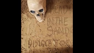 Head in the Sand lyrics video [upl. by Nodnorb289]