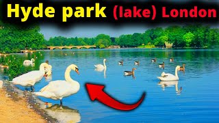 Hyde Park lake view London  London’s Royal Parks  Viraj London Vlogs 2024  london vlogs [upl. by Laerdna868]