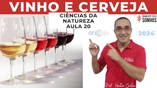 AULA 20  CIÊNCIAS DA NATUREZA  VINHO OU CERVEJA  ENCCEJA 2024  ENSINO MÉDIO E FUNDAMENTAL [upl. by Siloa]