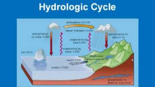 Limnology  Hydrologic Cycle [upl. by Ruon919]