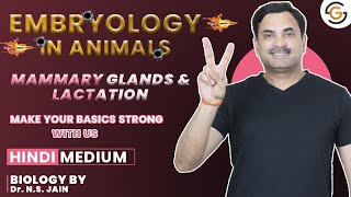 Mammary Glands amp Lactation Embryology in Animals  Hindi Medium neet [upl. by Mcgruter]