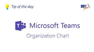 Organization Chart in Microsoft Teams [upl. by Yazbak869]